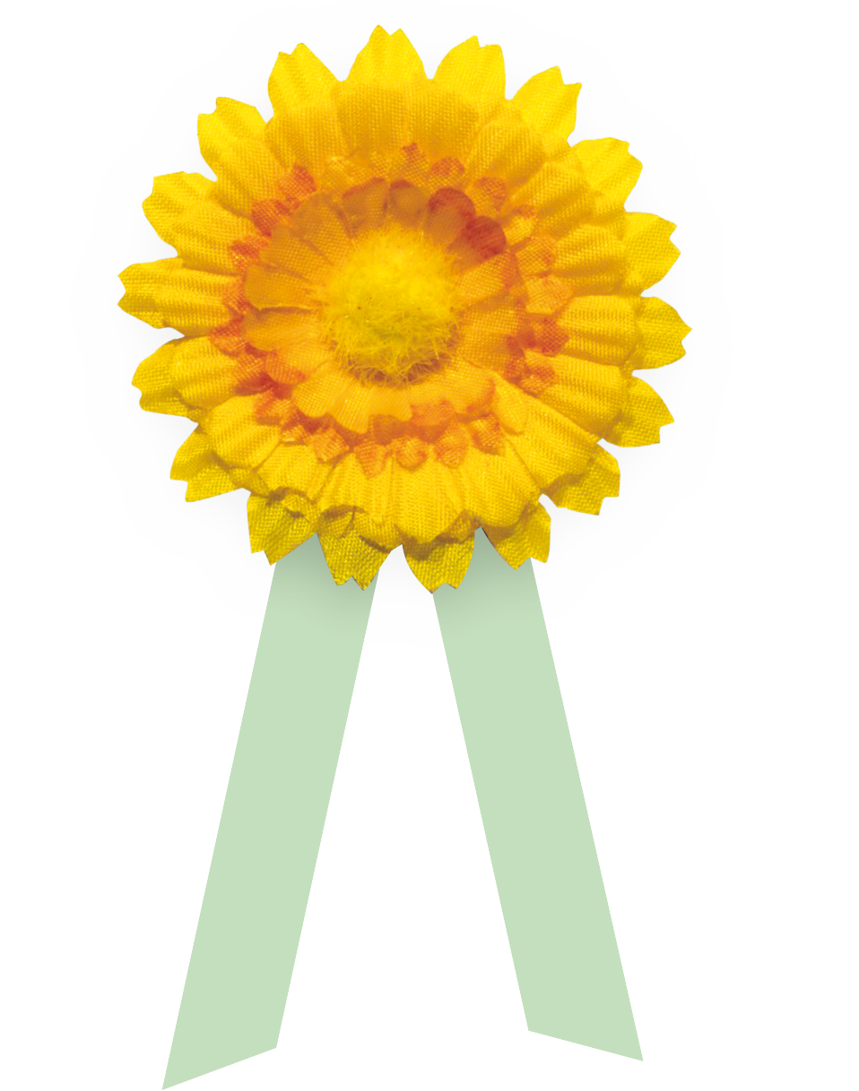 Kyticka-pro-web-2025-kratsi-stuzky-orez.png