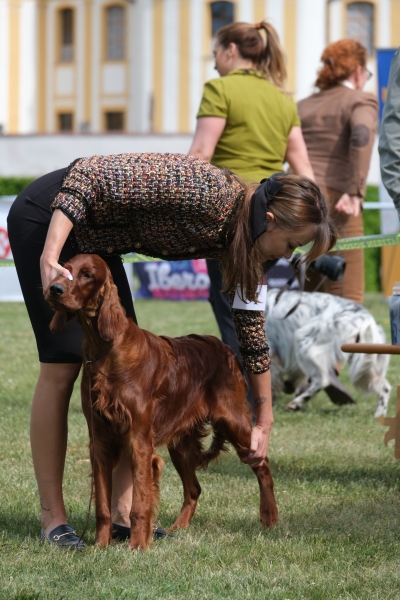 Image 28