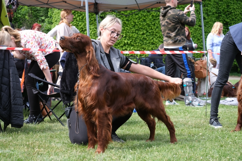 Image 29