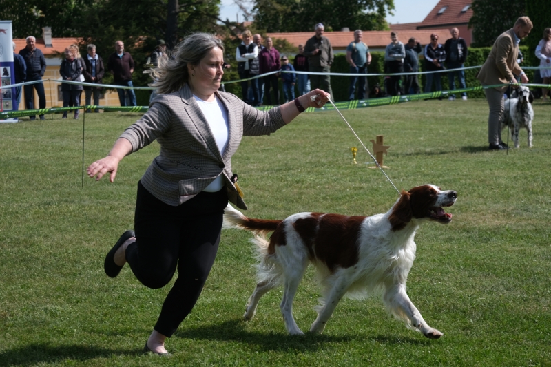 Image 13