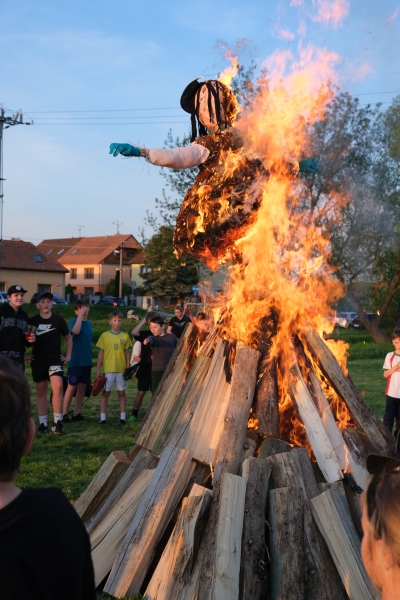 Image 14