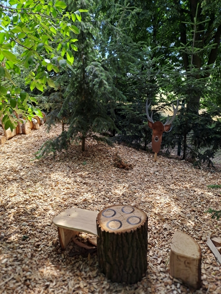 Image 11