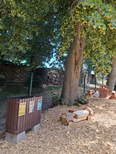 Image 12