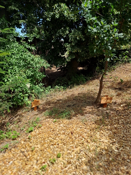 Image 18
