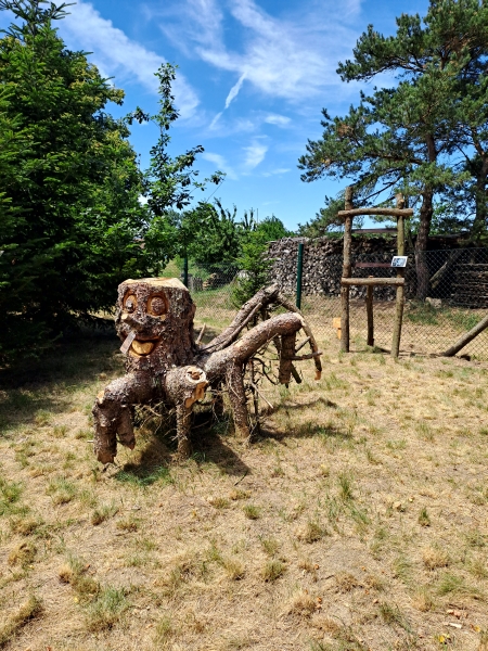 Image 20