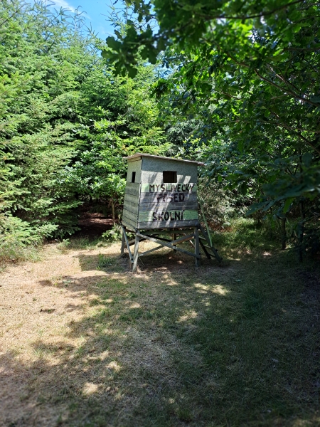 Image 23
