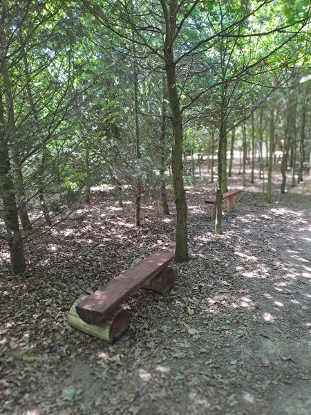 Image 24