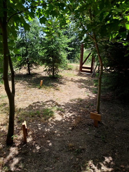 Image 25