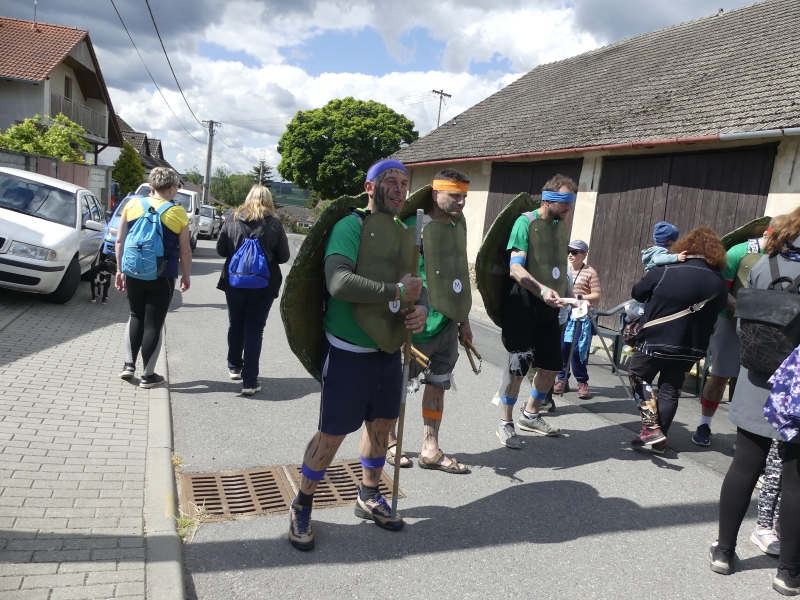 Image 15