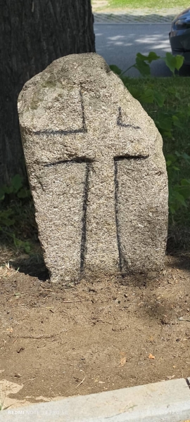 Image 22