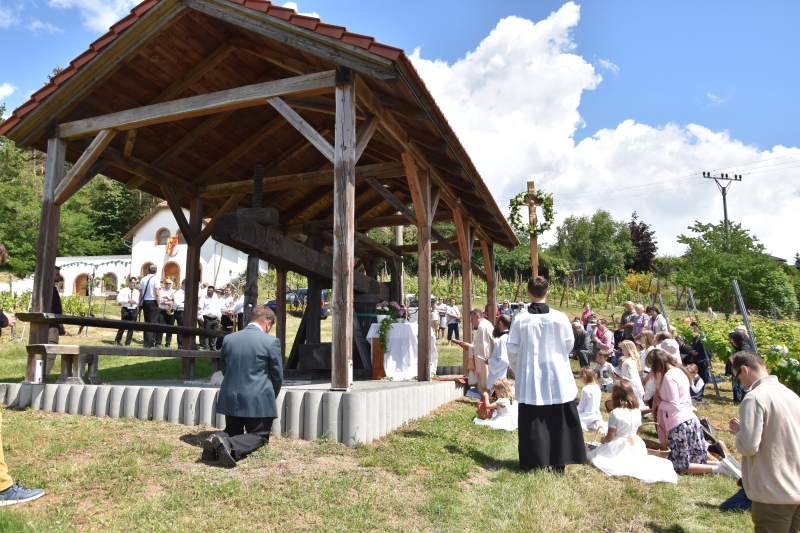 Image 10