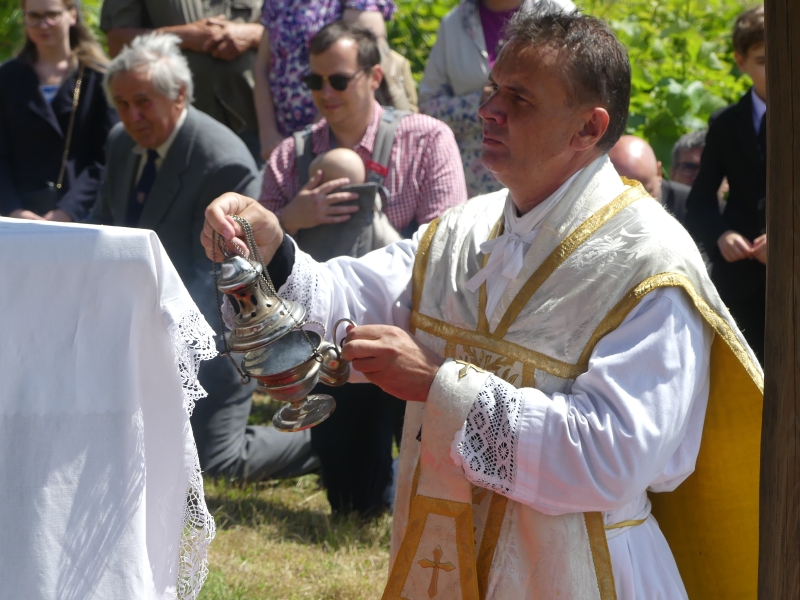 Image 13