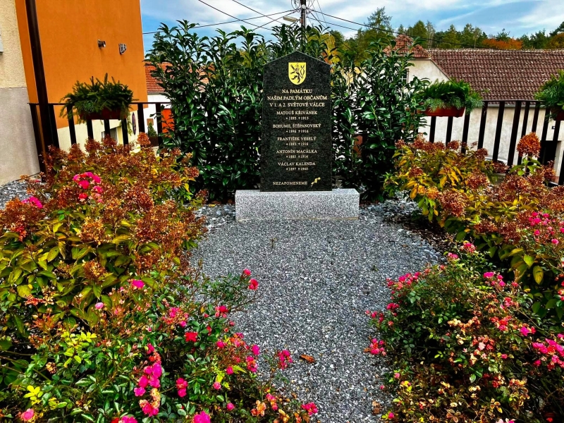 Image 6