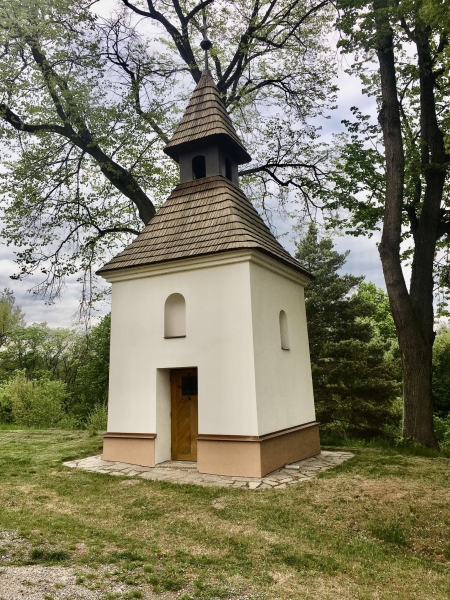 Image 6