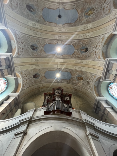 Image 23