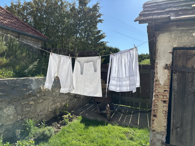 Image 12