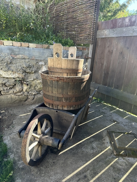 Image 13