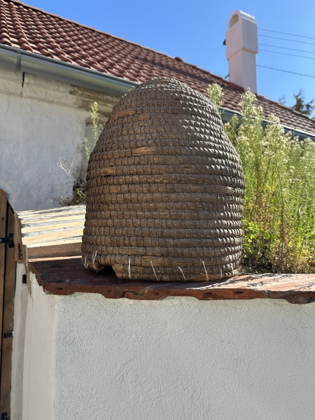 Image 14