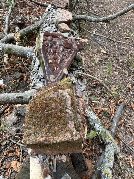 Image 6