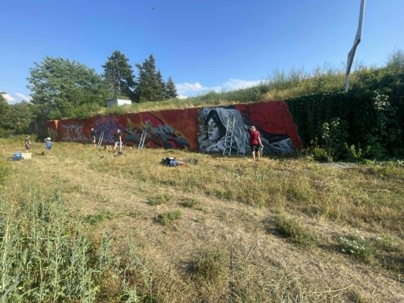 Image 3