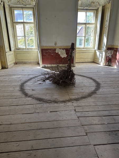 Image 12