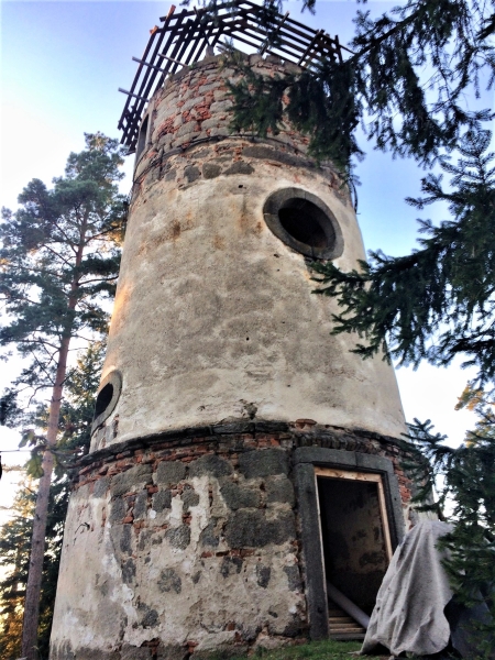 Image 7