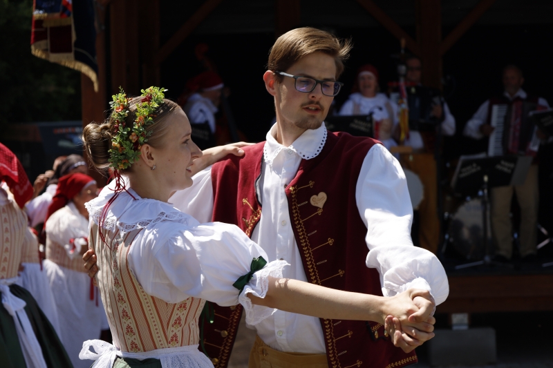 Image 31