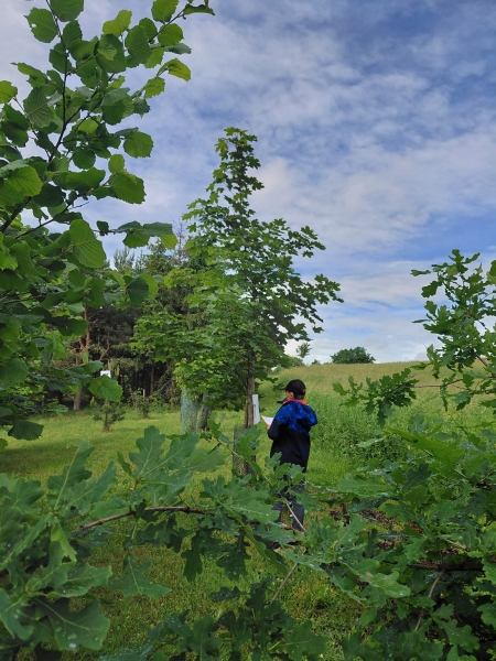 Image 17