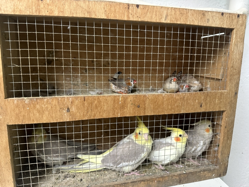 Image 2