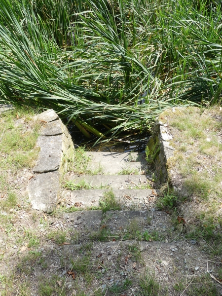 Image 13
