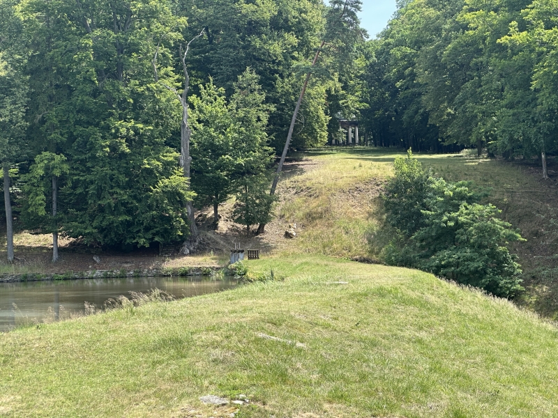 Image 14