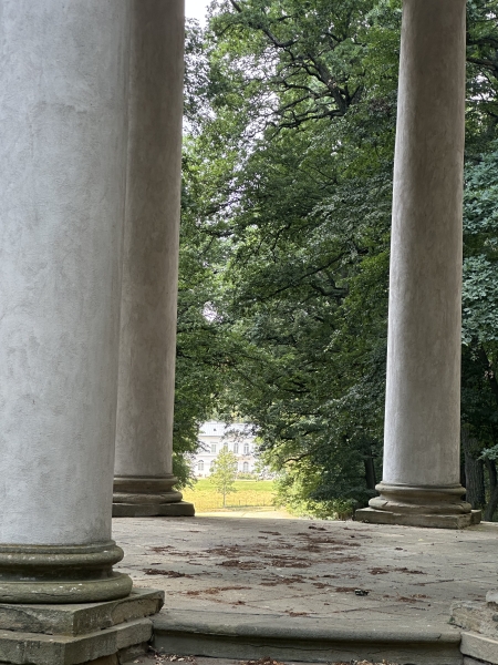 Image 17