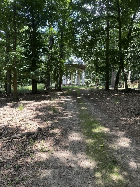 Image 19