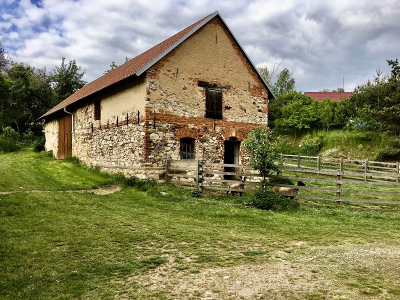 Image 11