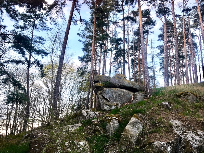 Image 12