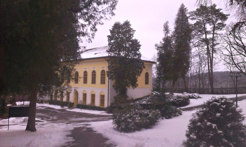 Image 10