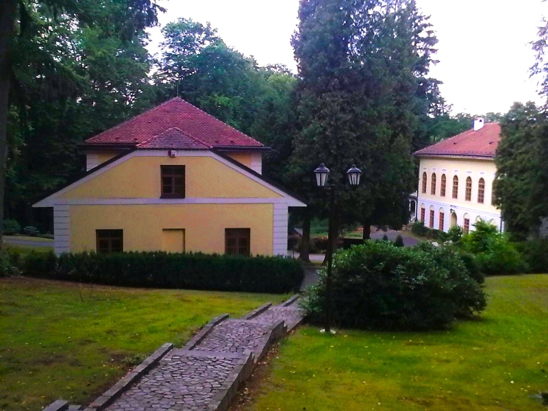 Image 11