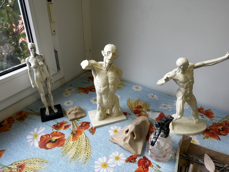 Image 7