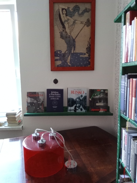 Image 7