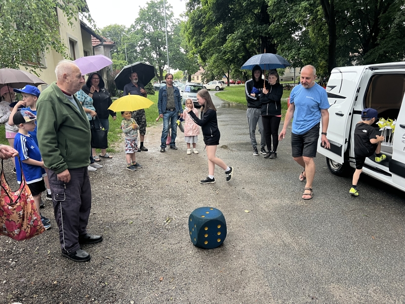 Image 49