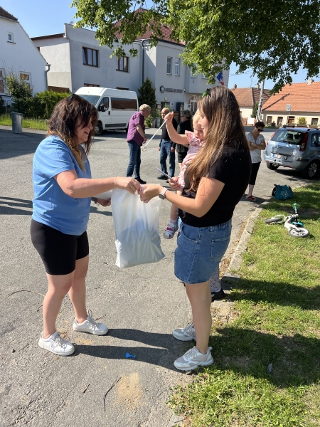 Image 12