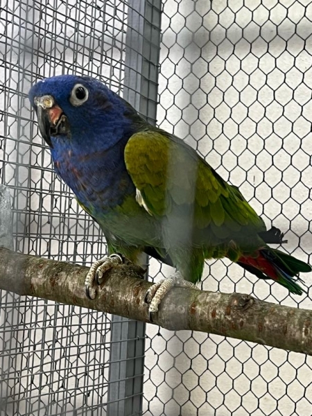 Image 6