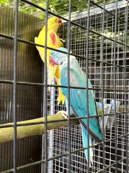 Image 11
