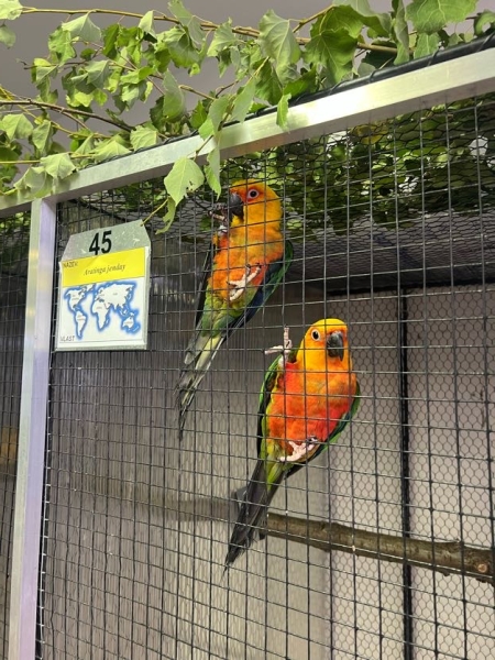 Image 16