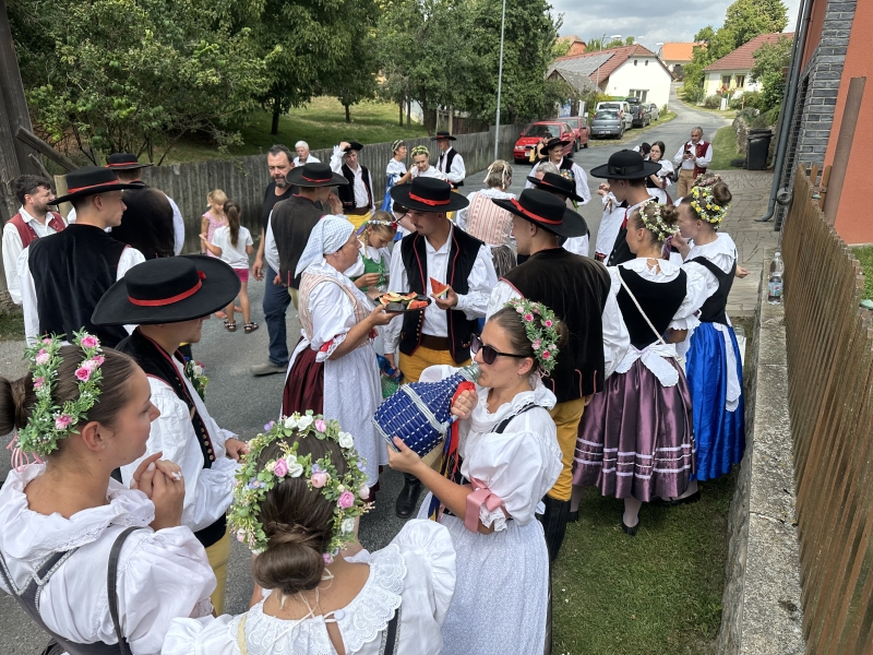 Image 13