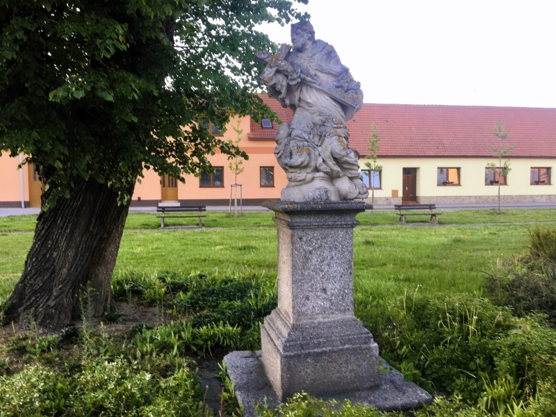 Image 7