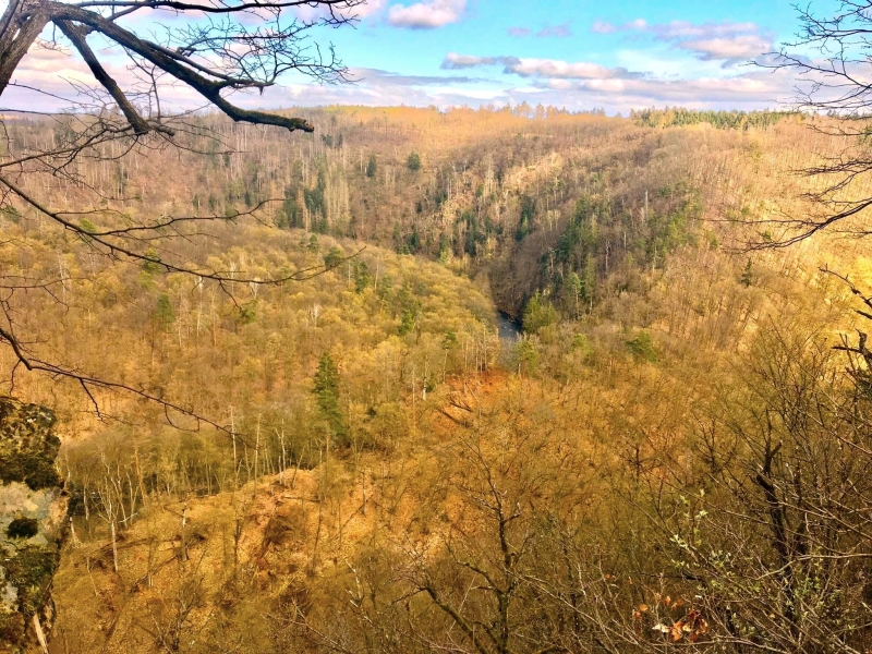 Image 12