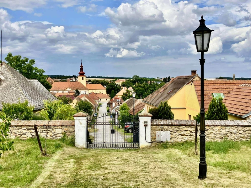 Image 8