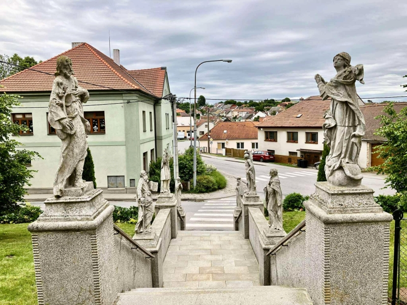 Image 7