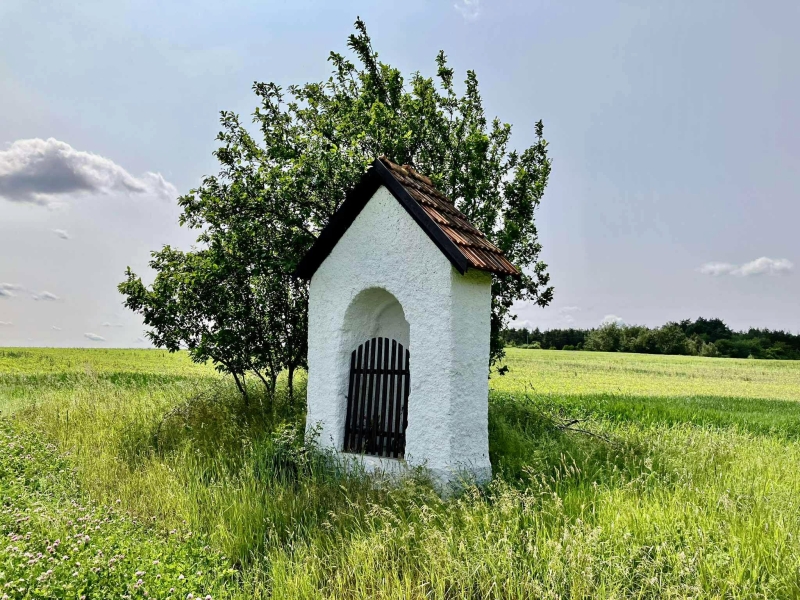Image 10